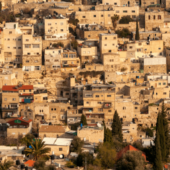 Learning from History: A Call for Peace and Dignity in Israel-Palestine Conflict